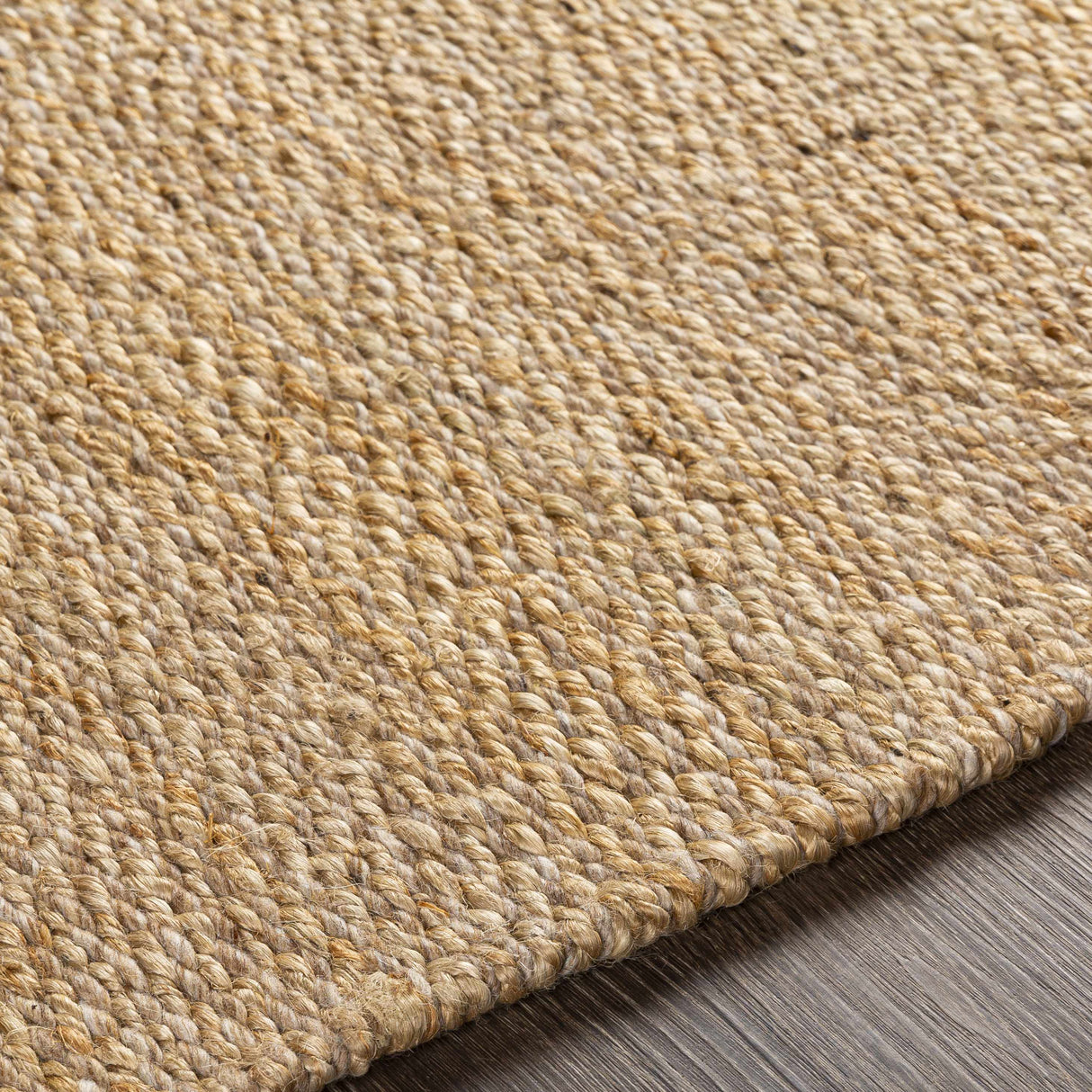 Partoun Area Rug - Clearance