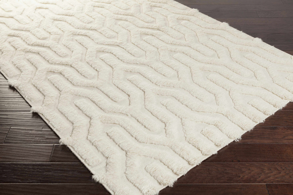 Ransom Area Rug - Clearance