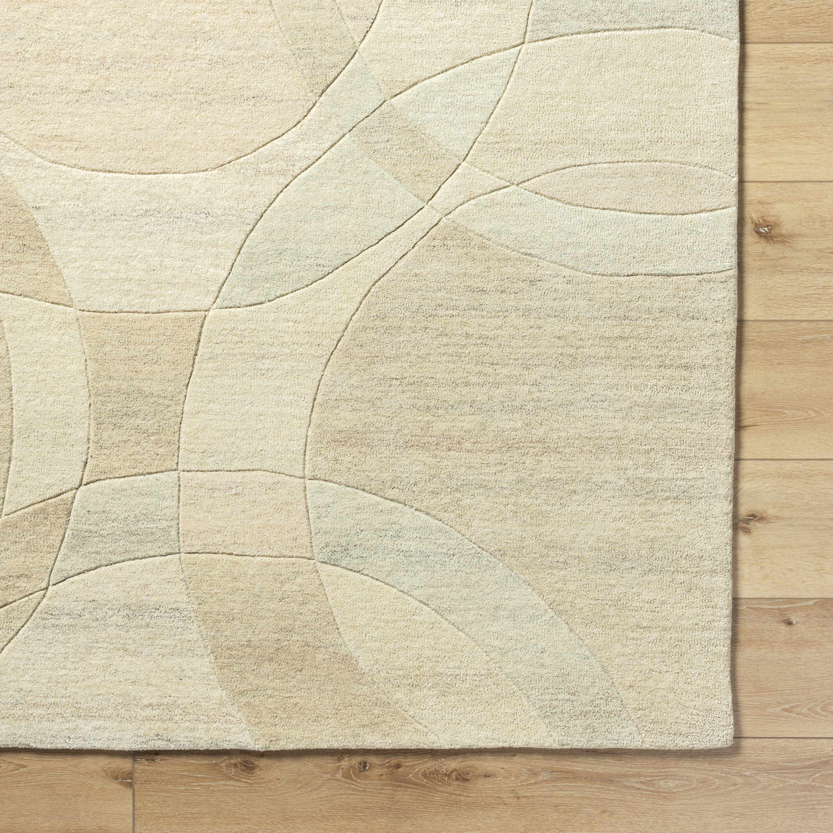 Rollo Area Rug