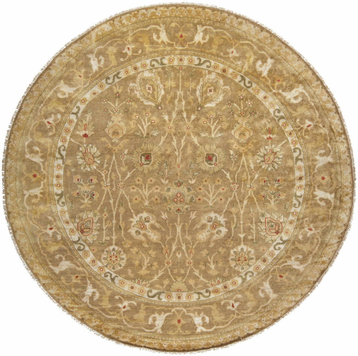 Reva Area Rug - Clearance