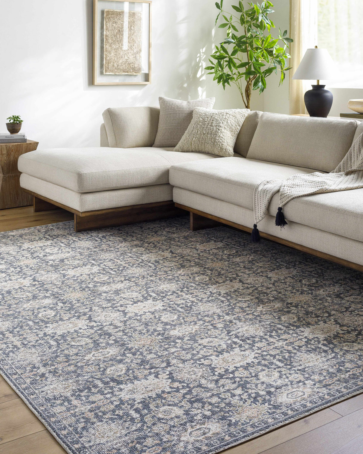Semaj Area Rug