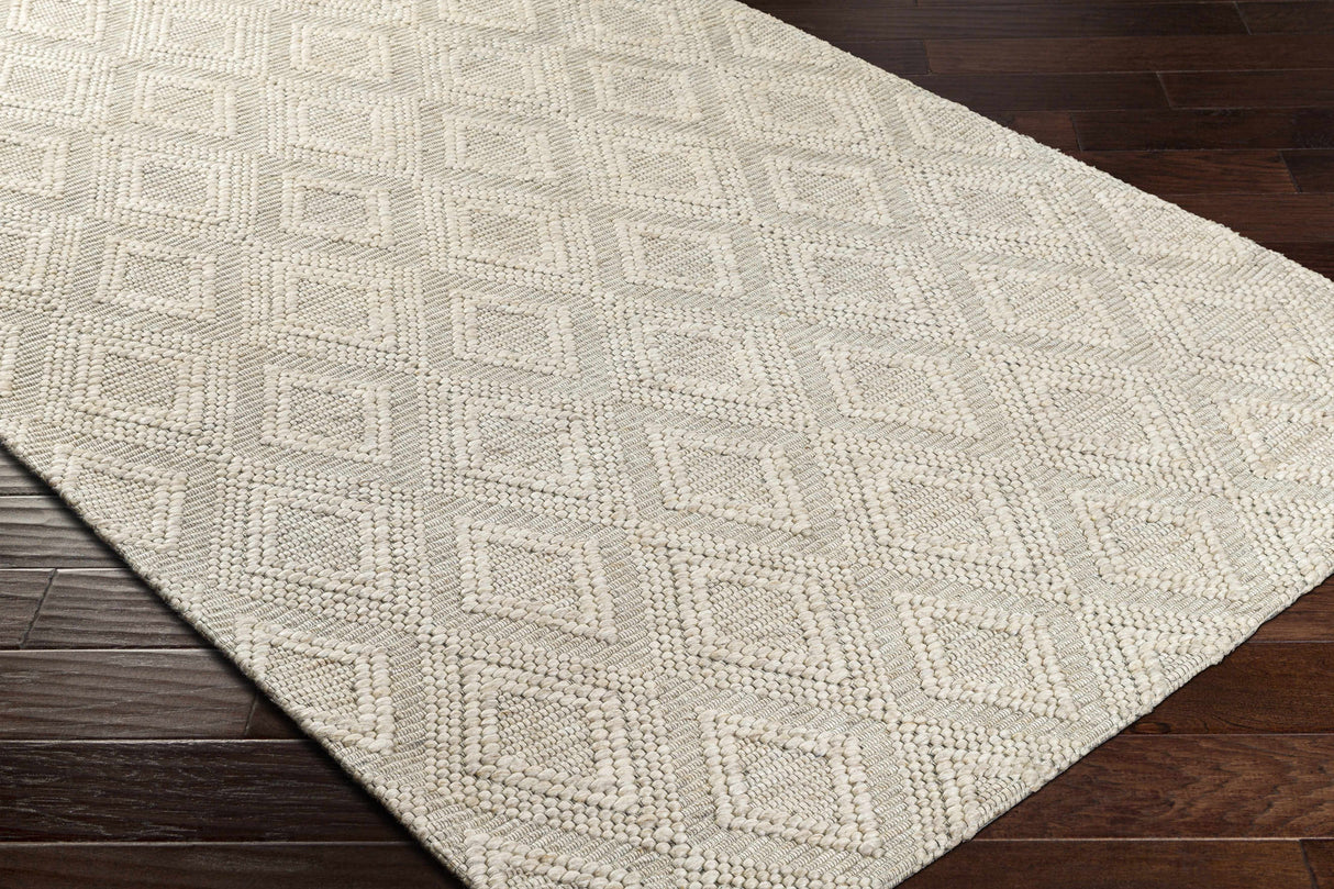 Kasib Beige Hand Woven Area Rug - Clearance
