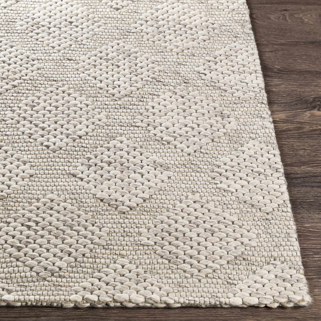 Sauget Area Rug - Clearance