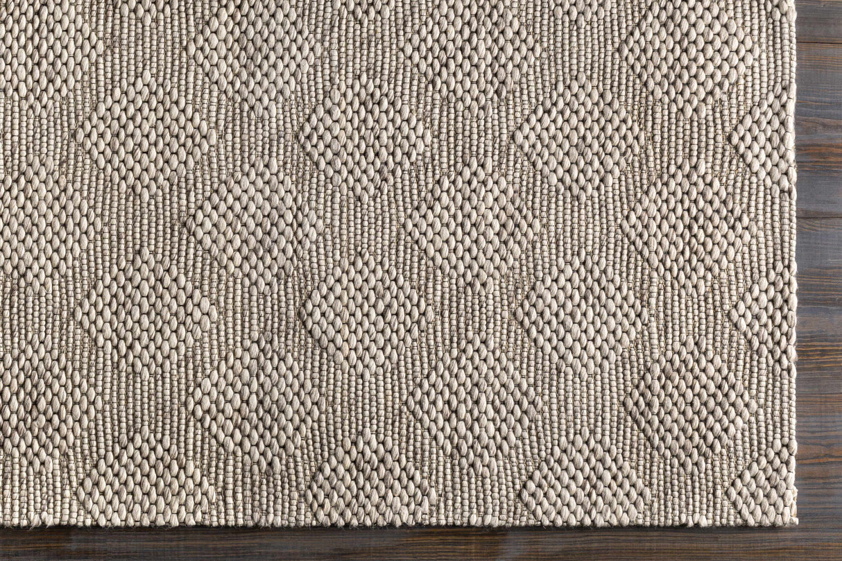 Sauget Area Rug - Clearance
