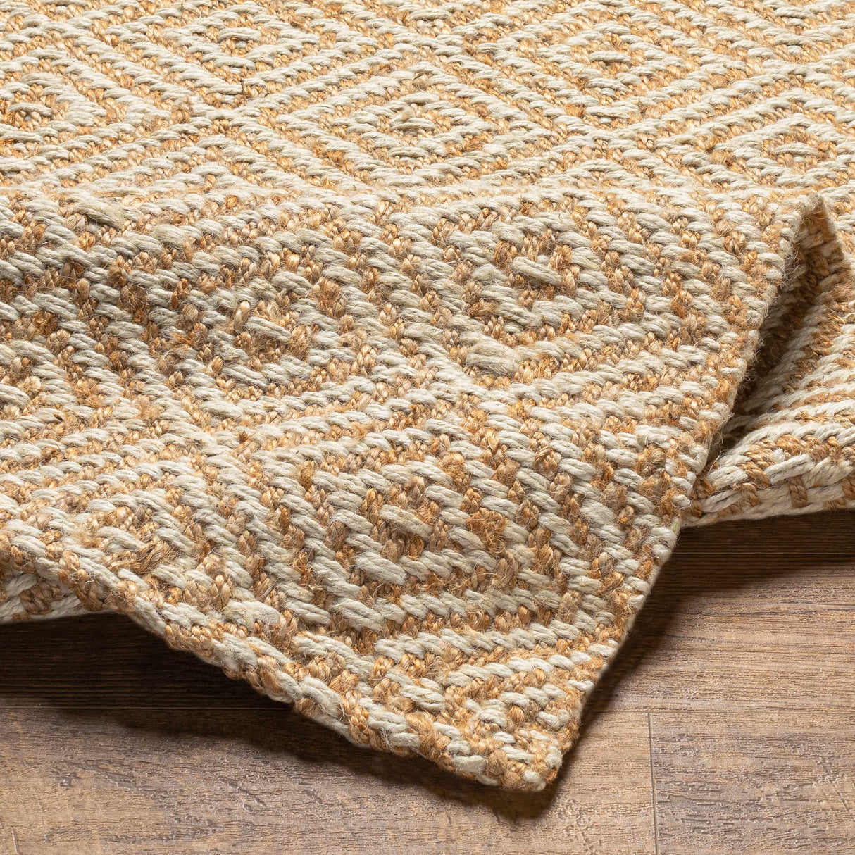 Eriko Area Rug - Clearance