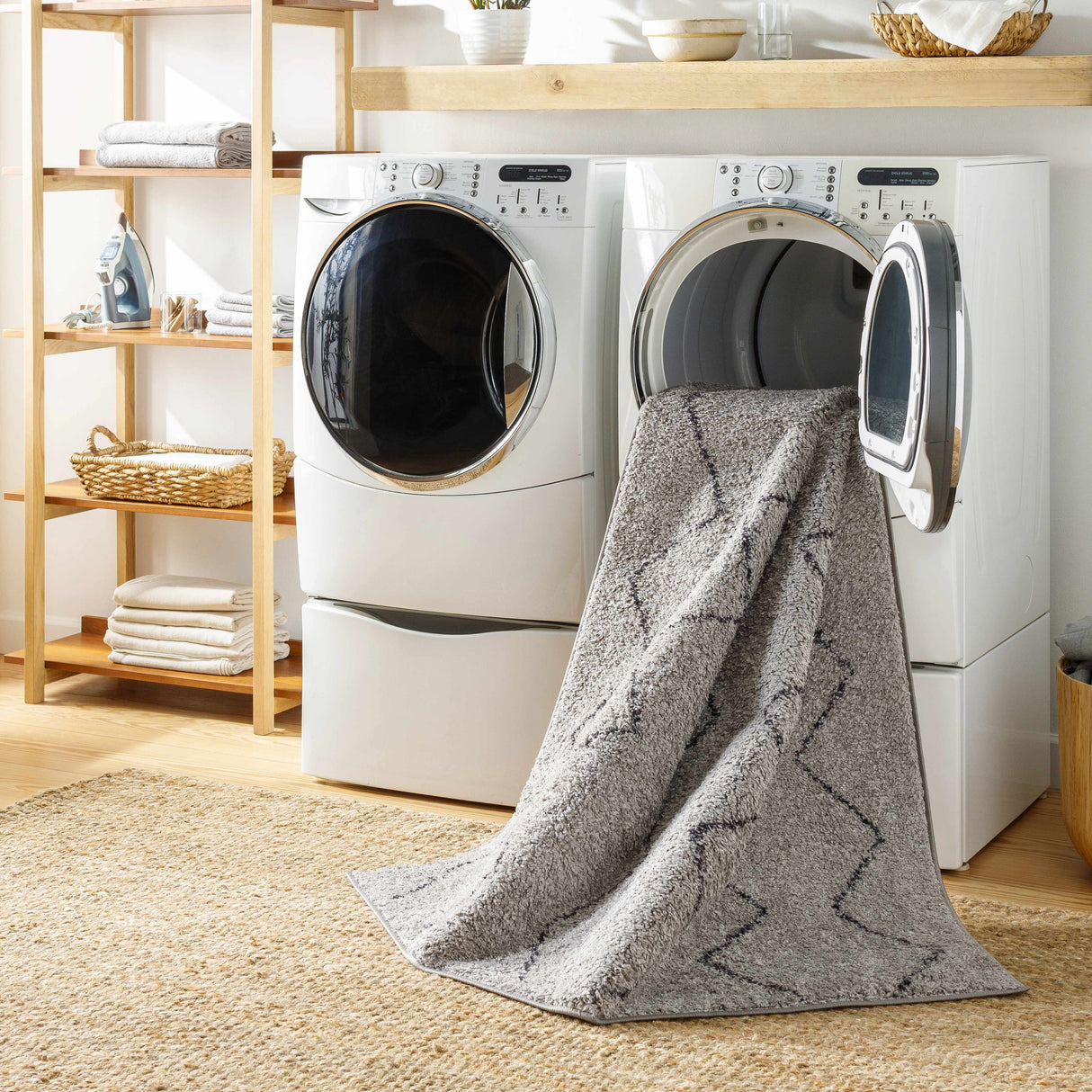 Amro Washable Area Rug - Clearance