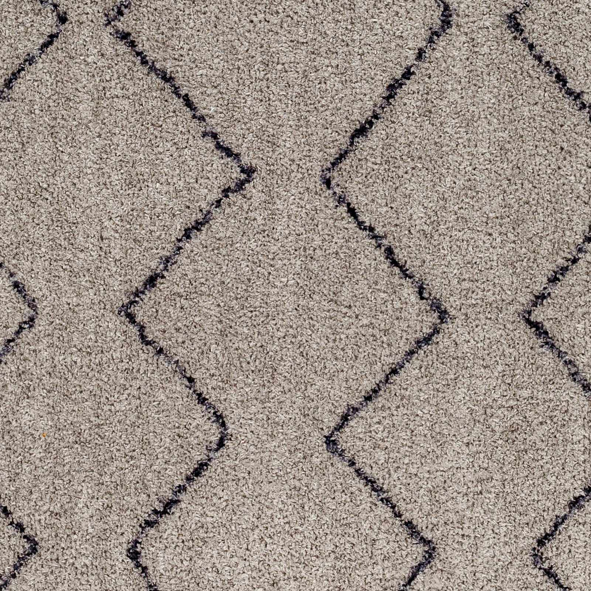 Amro Washable Area Rug - Clearance