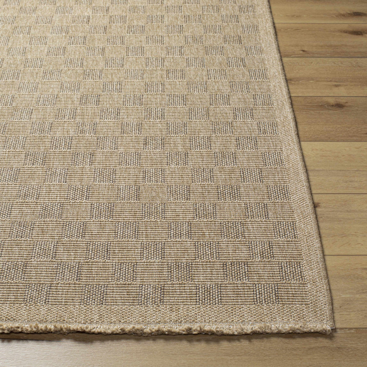 Jurek Beige Checkered Area Rug