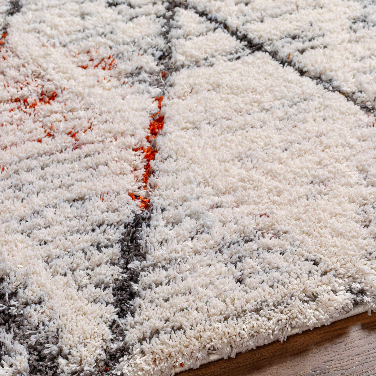 Boutique Rugs Atish Area Rug - view 6