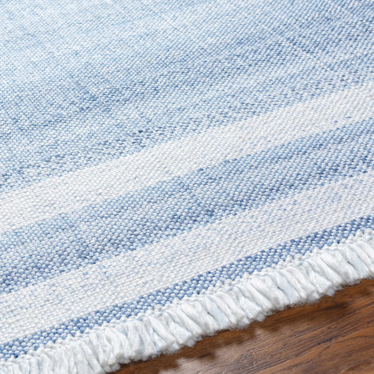 Loic Silver Blue Area Rug