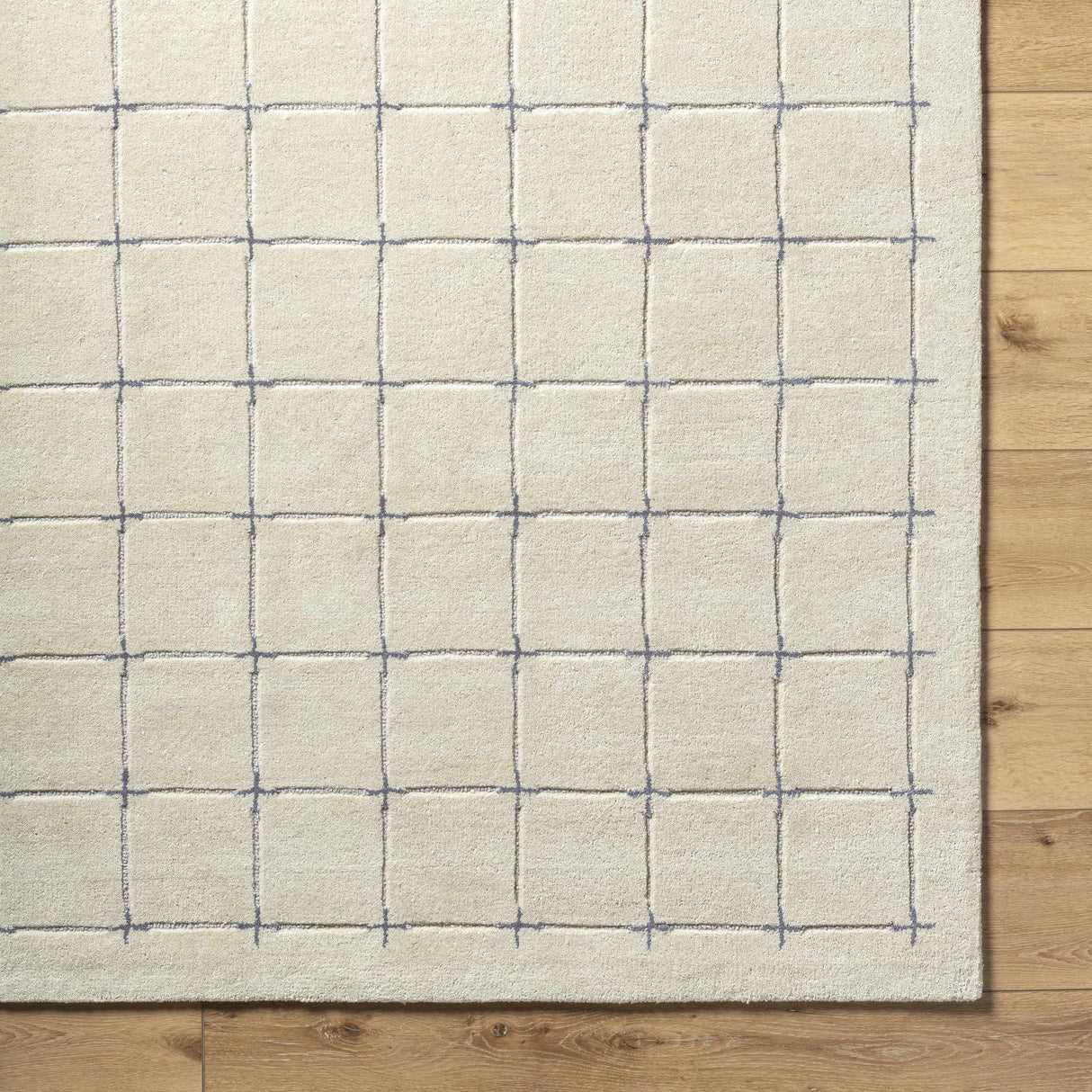 Sanvi Tan Area Rug