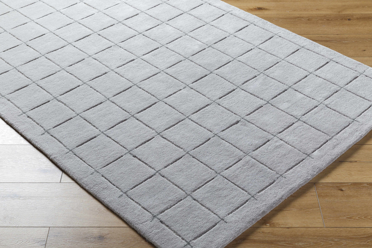 Sanvi Gray Area Rug