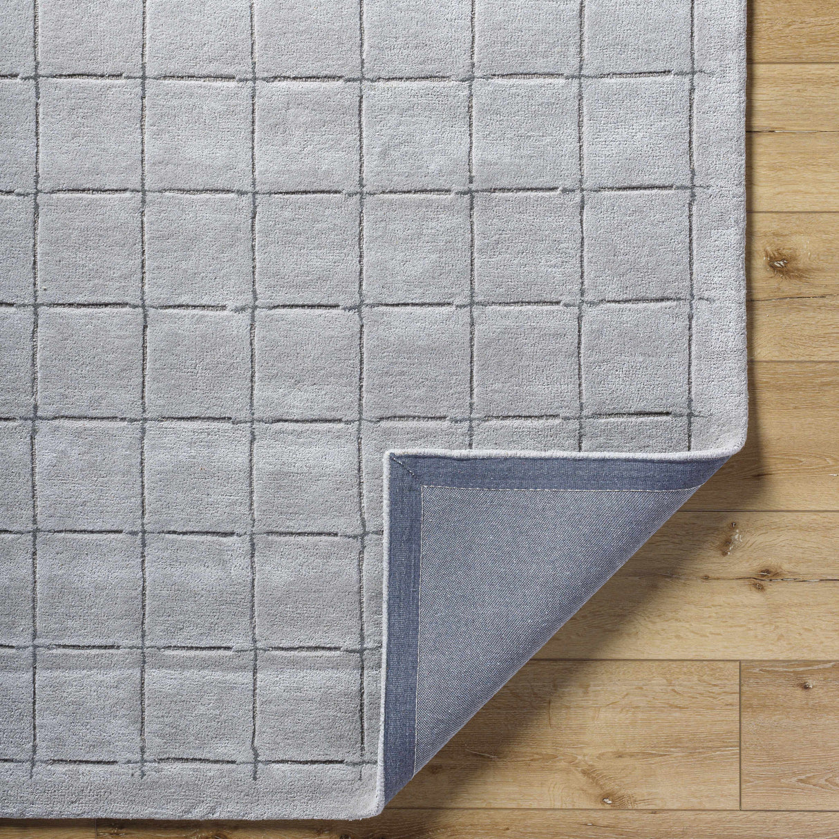 Sanvi Gray Area Rug