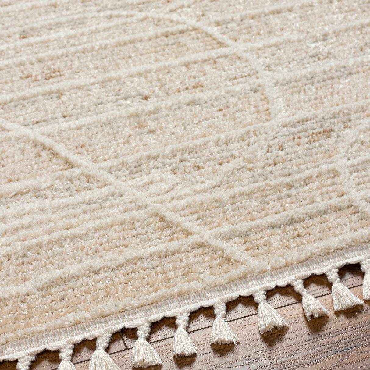 Inaya Area Rug