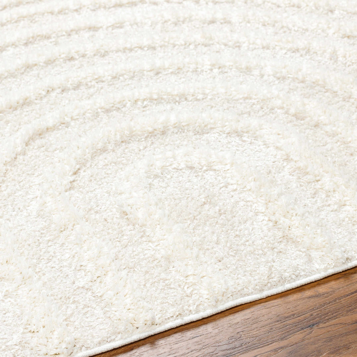 Boutique Rugs Arnel Cream Area Rug - view 11