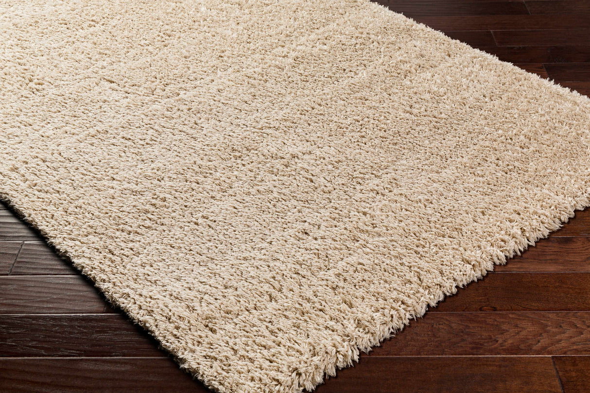 Beige Allon Area Rug - Clearance