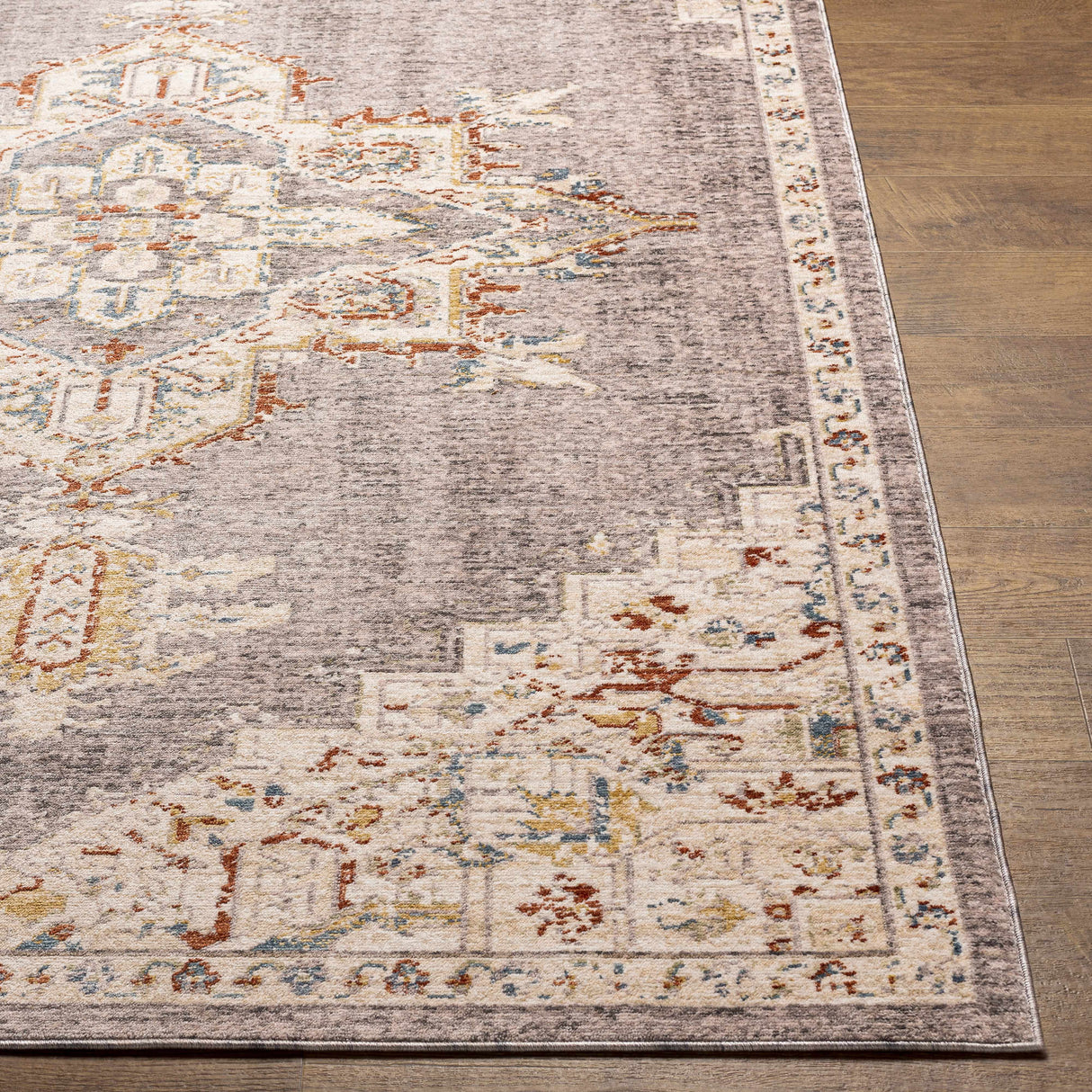 Taia Traditional Style Rug - Clearance