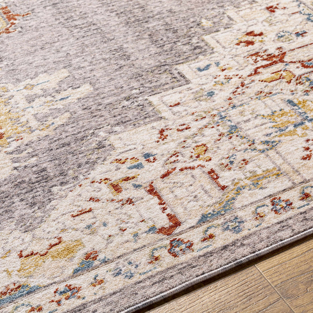 Taia Traditional Style Rug - Clearance
