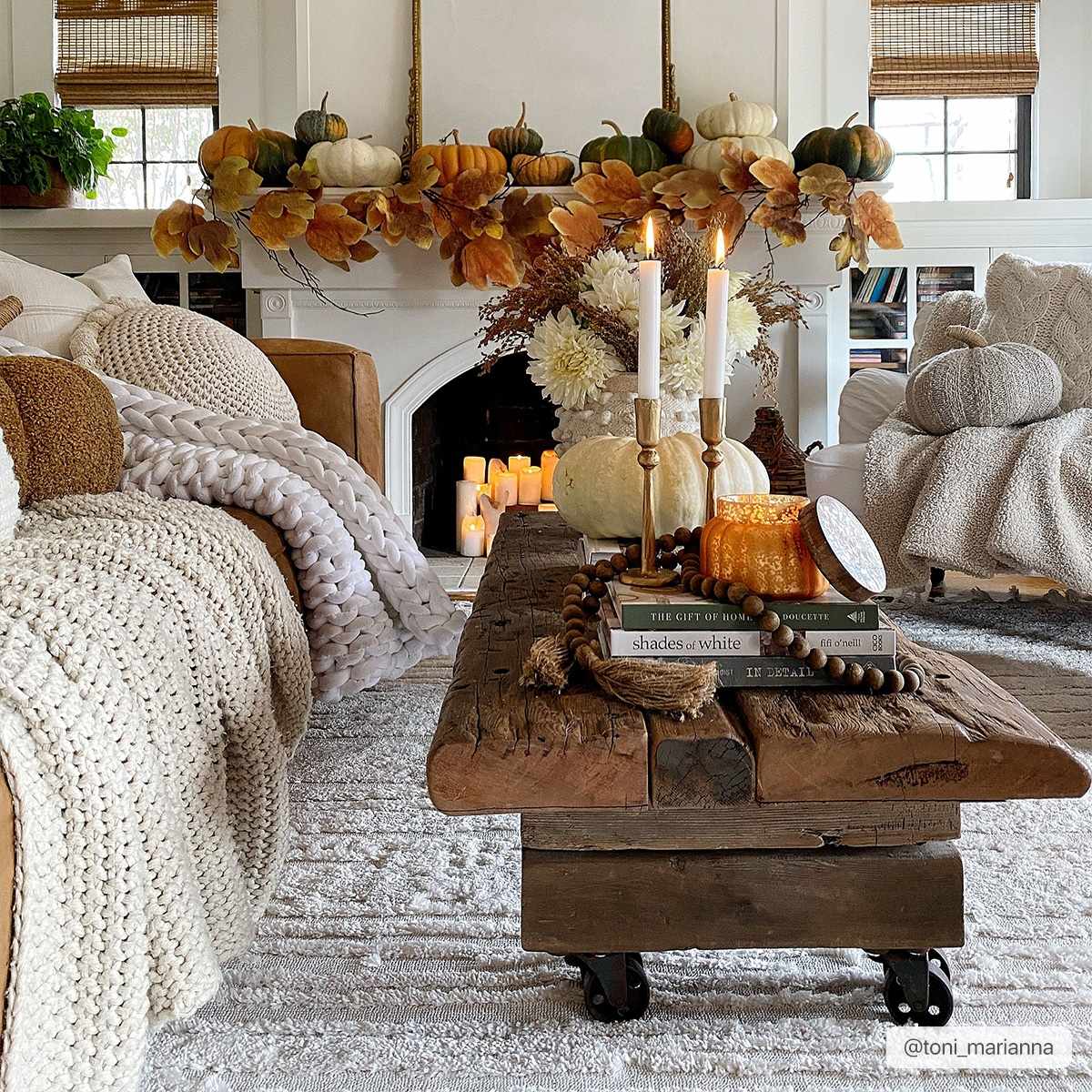 Ibarra Textured Ivory High/Low Pile Rug with Tassels