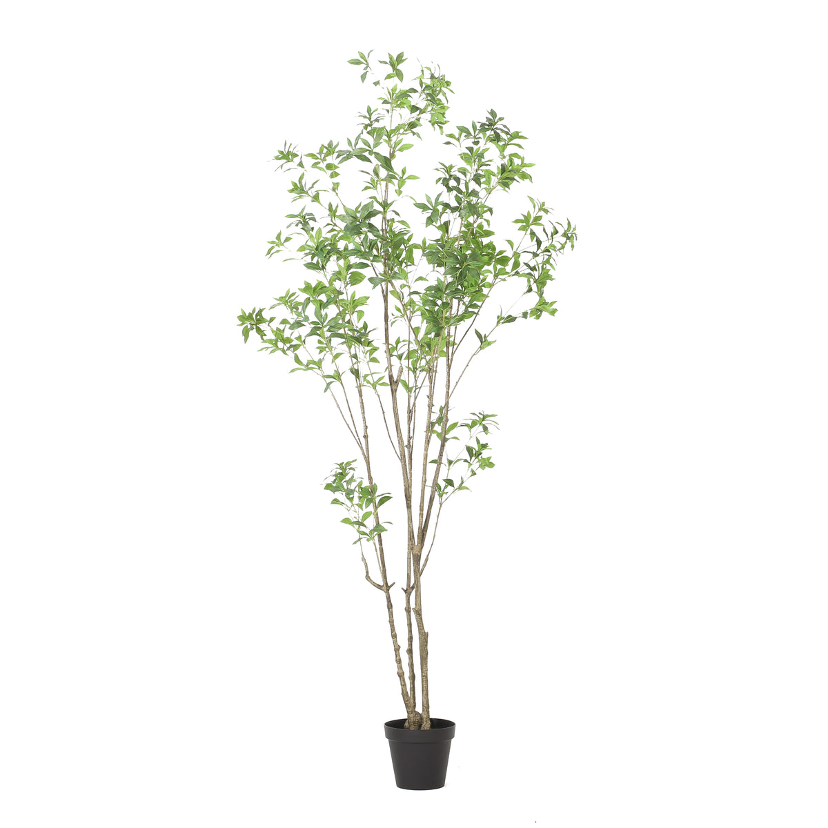 240cm Artificial Pieris Tree