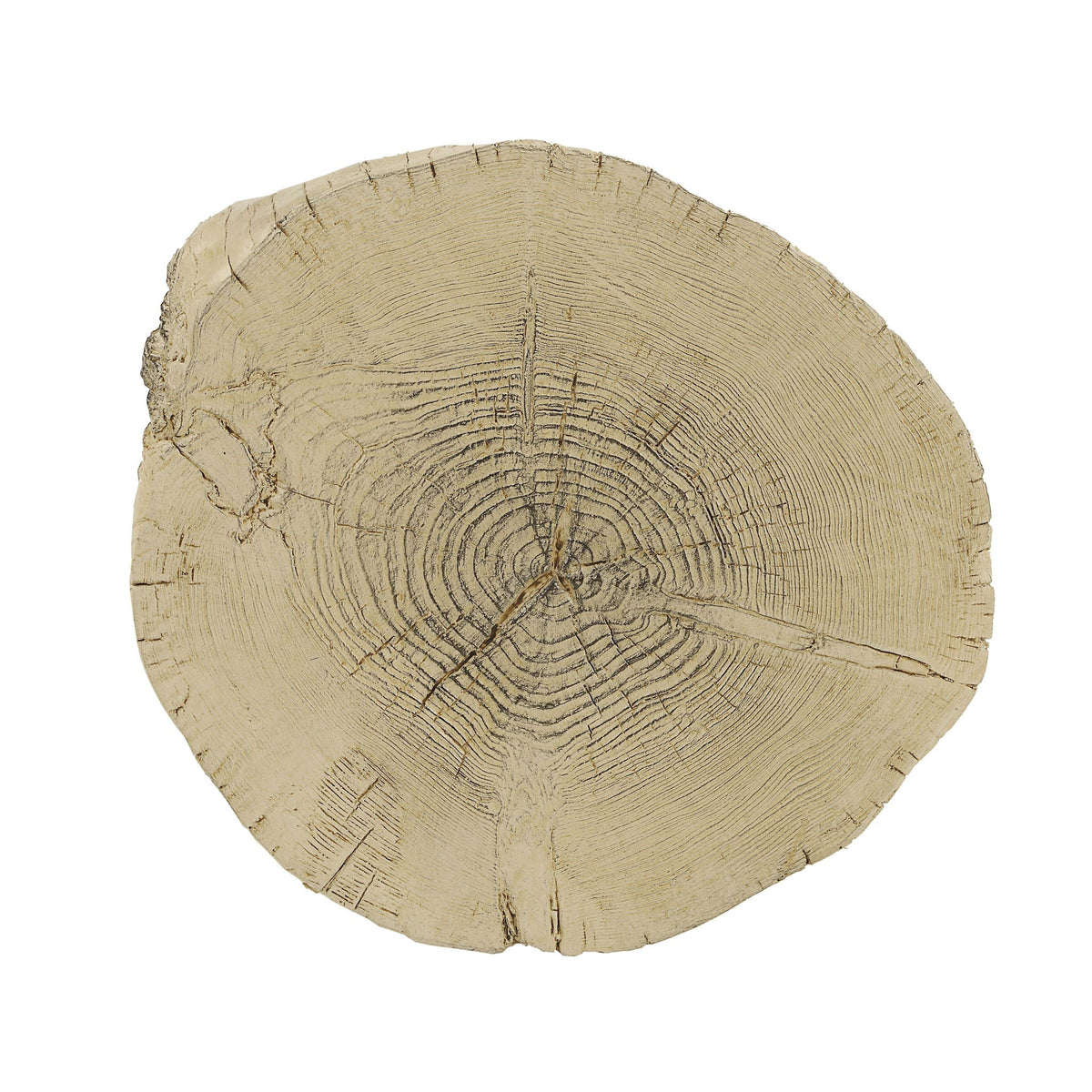 Urban Nest Brown Fiber Concrete Accent Table with Engineered Stone - view 4