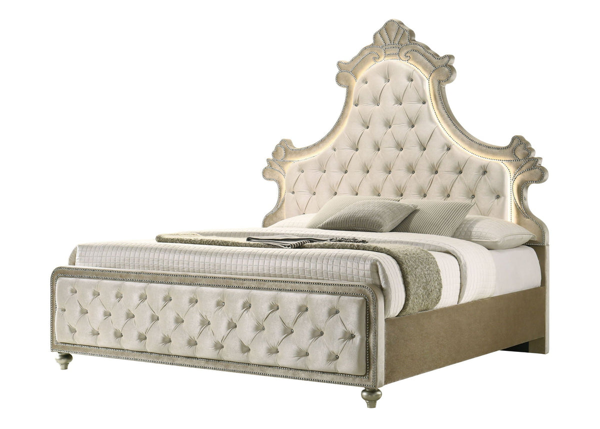 Urban Nest Lucienne Upholstered Bed with LED Lighting