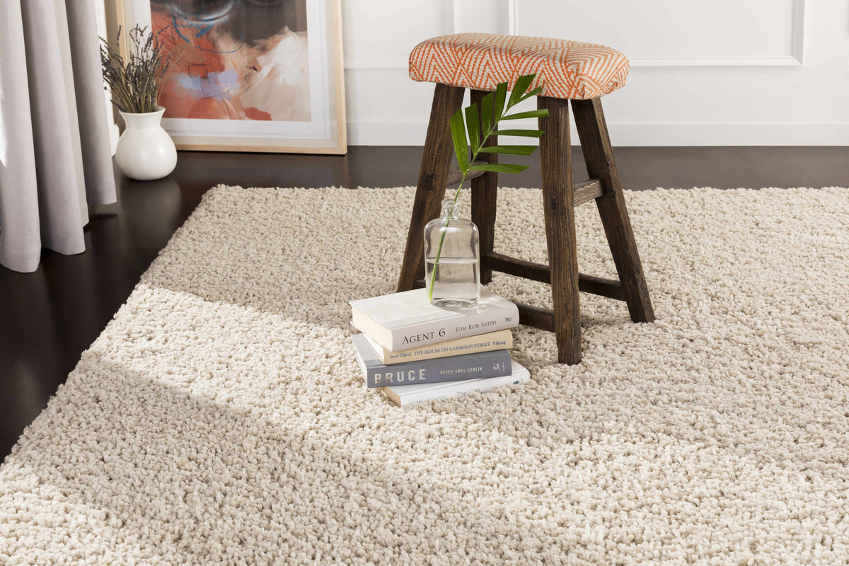 Wakeeney Beige Shag Rug - Clearance