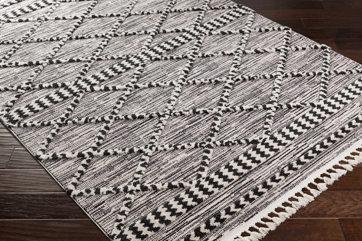 Warrandyte 5x7 Black&White High-Low Rug - Clearance