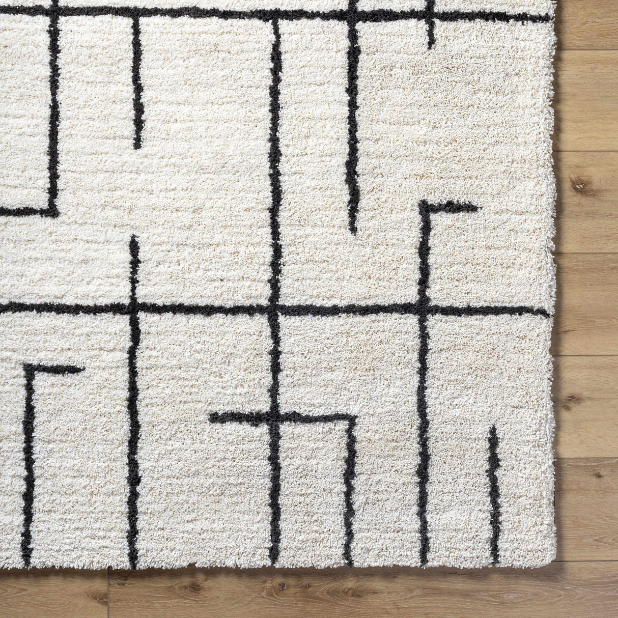Xenos Area Rug