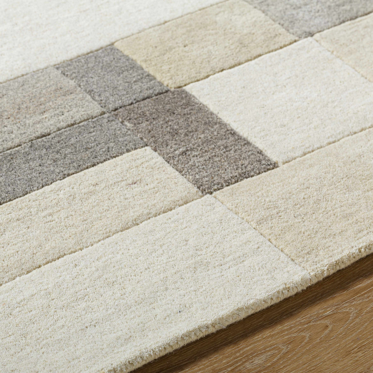 Xylon Area Rug