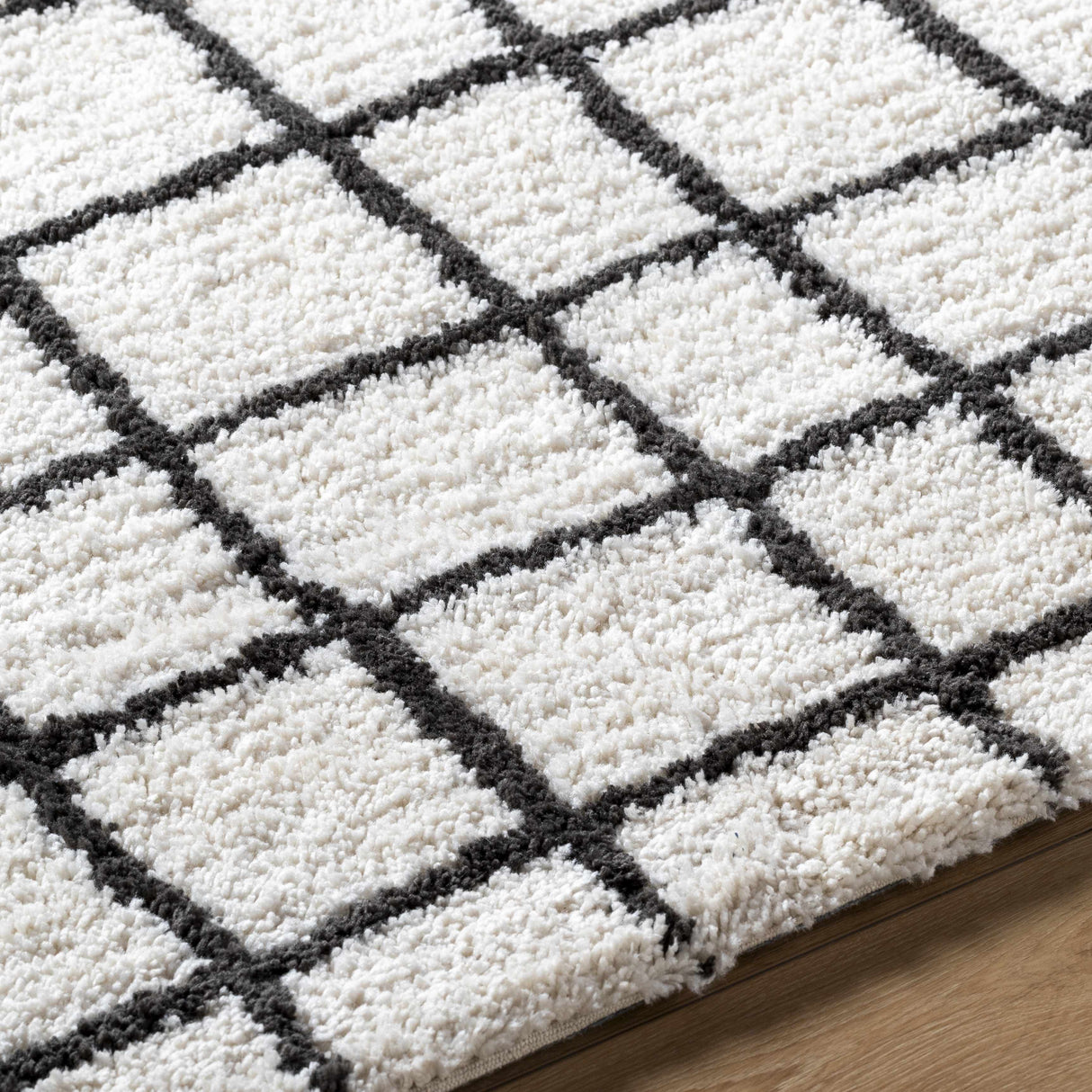 Yaotl Area Rug