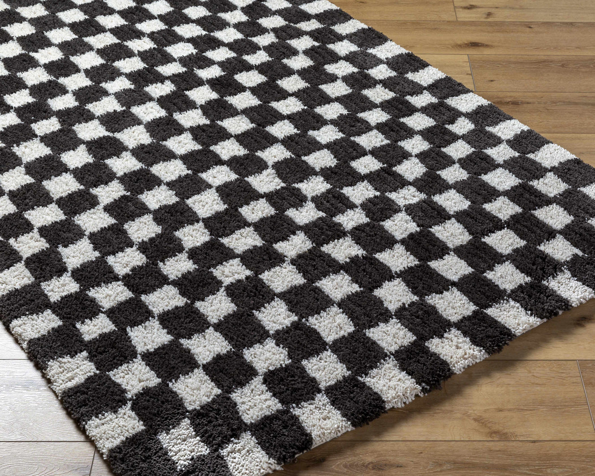 Zveha Area Rug