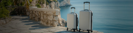 luggage