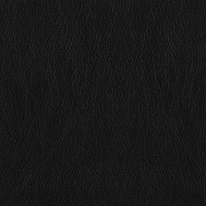 Winchell - Upholstered Padded Arm Tufted Accent Chair - Black