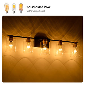 5-Light Matte Bathroom Lighting