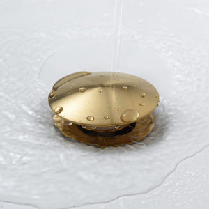 Bathroom Sink Drain with Overflow