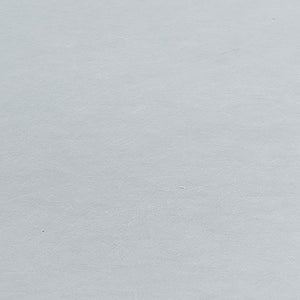 Maynard - Twin Standard Box Spring Foundation With Reinforced Support And Breathable Design - Gray