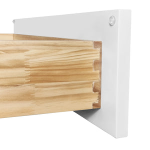 24" Premium Cabinet