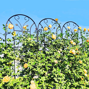 2 Pack Metal Garden Trellis