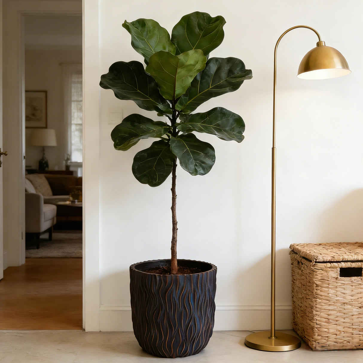 Large Round Planters Set of 2