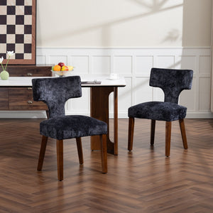 Mid Century Modern Dining Chairs Set of 2