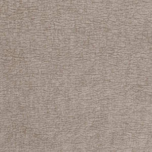 Silvana - Upholstered Rolled Loveseat With Curved Back And Foam Cushions - Beige