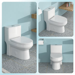 Ceramic One Piece Toilet for Bathroom, 12-inch Rough-In, Dual Flush