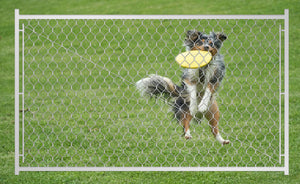 Adjustable 3.8FT Chain Link Walk Gate Kit