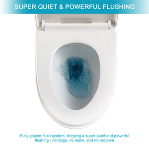 1 Piece Toilet & Dual Flush And Soft Closing Seat - White