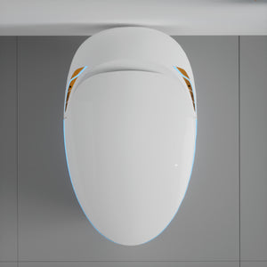 Unique Smart Toilet with Built-in Bidet