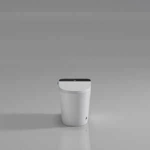 Modern Smart Toilet with Bidet Seat Built-In