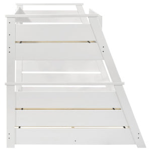 Reeder - Bunk Bed