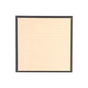 Burlington - Modern Design Transitional Wall Mirror