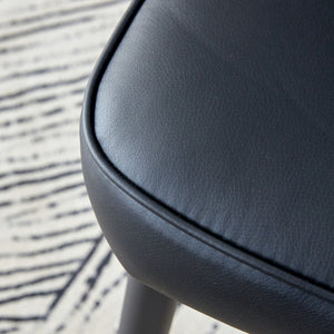 Modern Minimalist Dining Chairs (Set of 2)